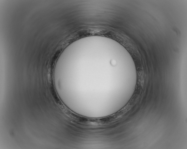X0000111790510200907230952