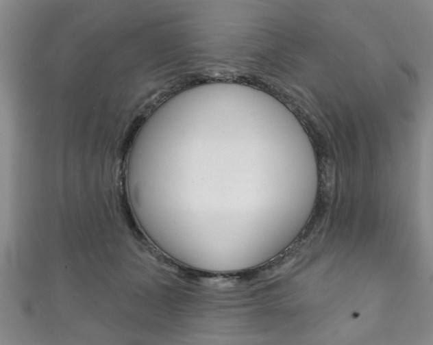 X0000111790511200907230952