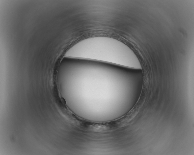 X0000111790512200907230952