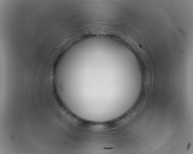 X0000111790513200907230952
