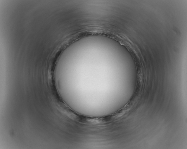 X0000111790516200907230951
