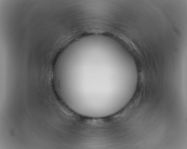 X0000111790517200907230951