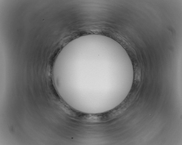 X0000111790518200907230951
