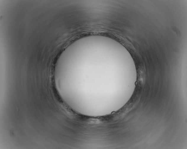 X0000111790519200907230951