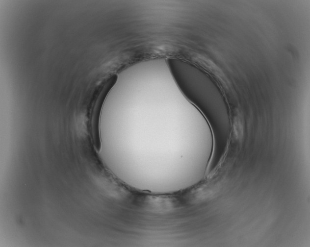 X0000111790520200907230951