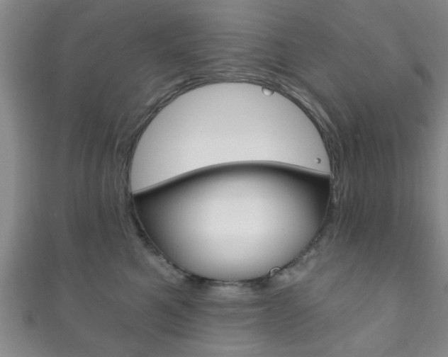 X0000111790521200907230951