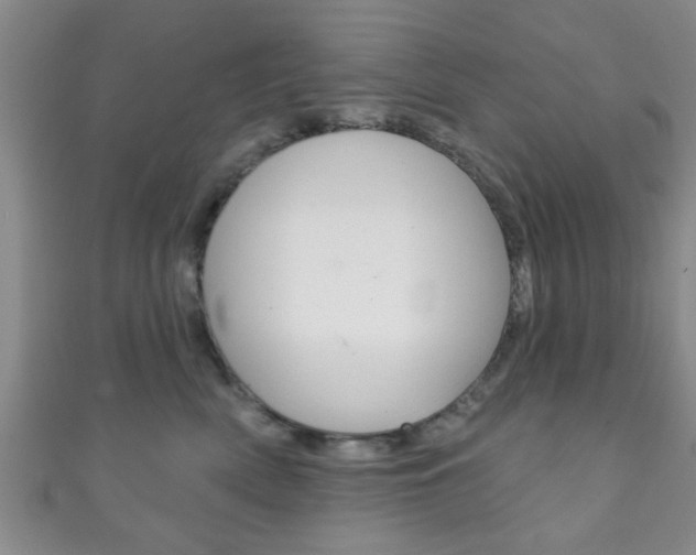 X0000111790522200907230951