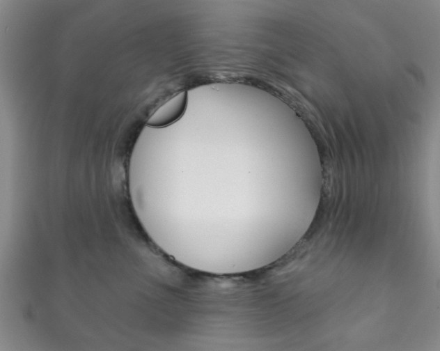 X0000111790523200907230951