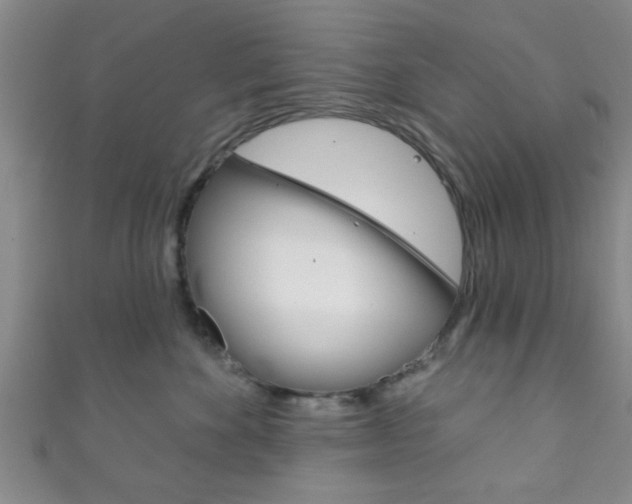 X0000111790524200907230951