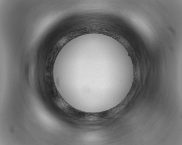 X0000111790526200907230951