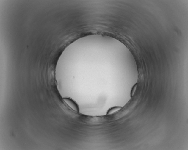 X0000111790527200907230951