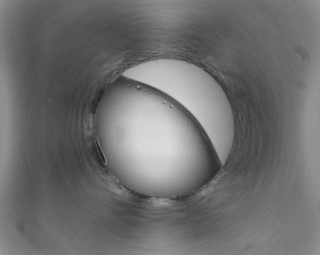 X0000111790528200907230951