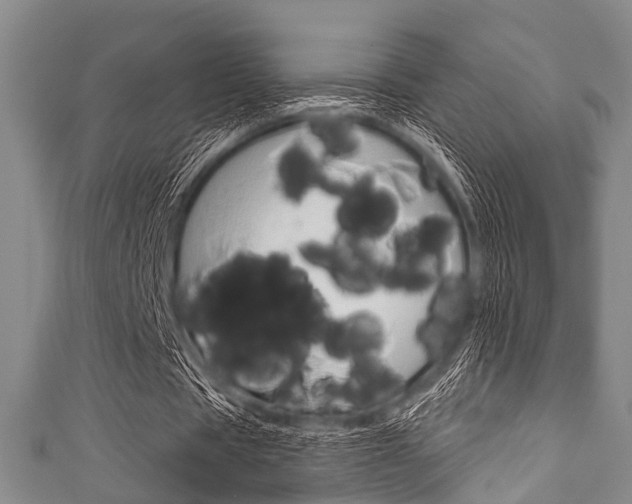 X0000111790529200907230951