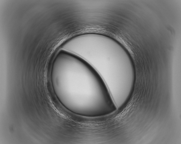 X0000111790530200907230951