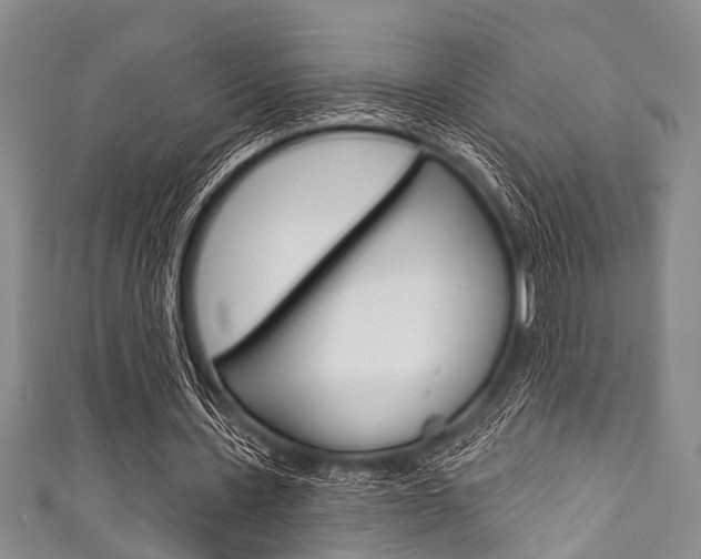 X0000111790531200907230951