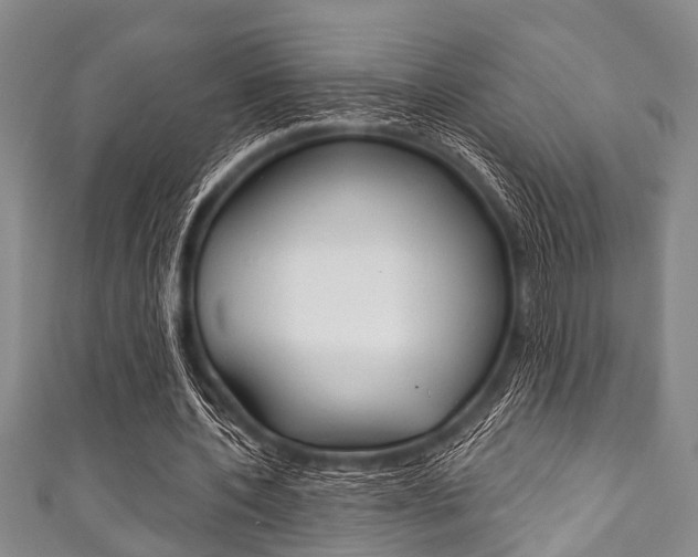 X0000111790532200907230951