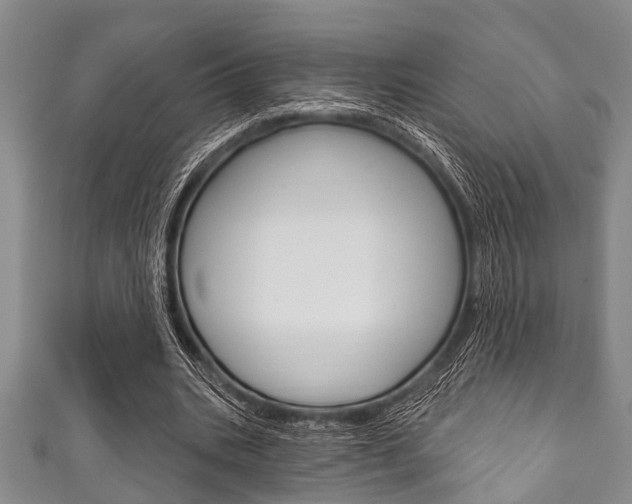 X0000111790535200907230951