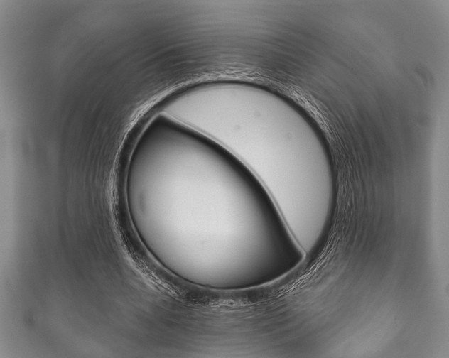 X0000111790536200907230951