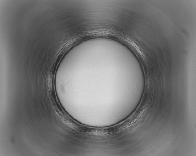 X0000111790537200907230951