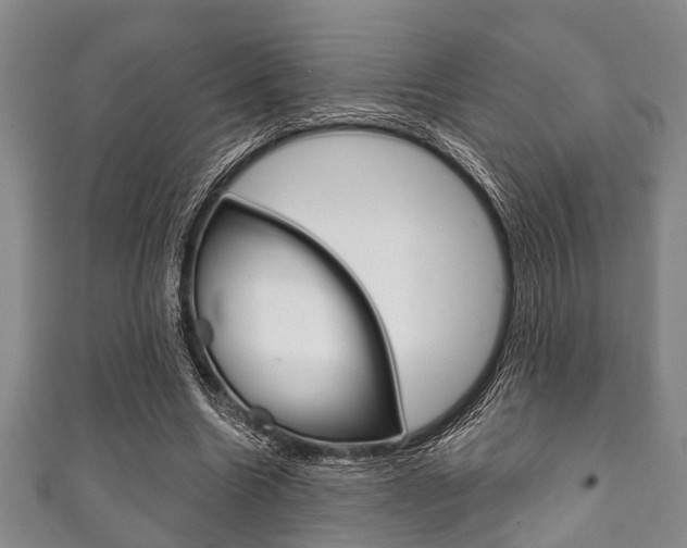 X0000111790538200907230951