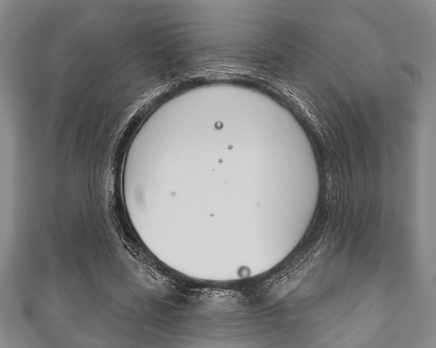 X0000111790539200907230951