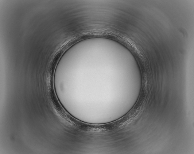 X0000111790542200907230951