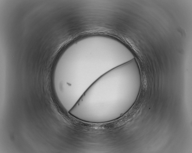 X0000111790543200907230951