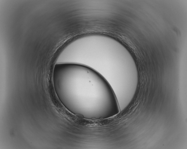 X0000111790544200907230951