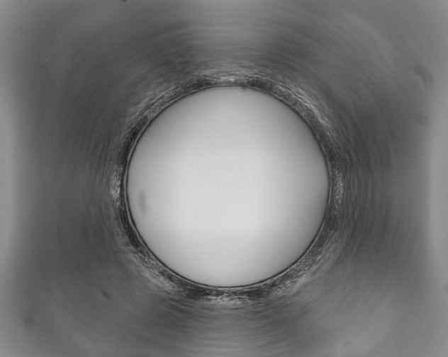 X0000111790545200907230951