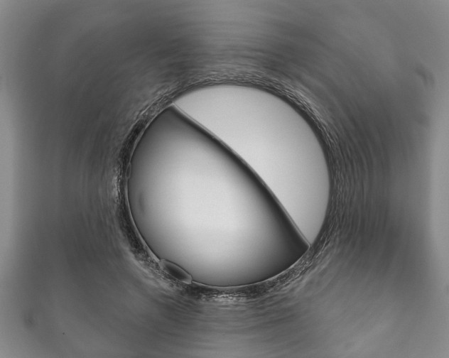 X0000111790546200907230951