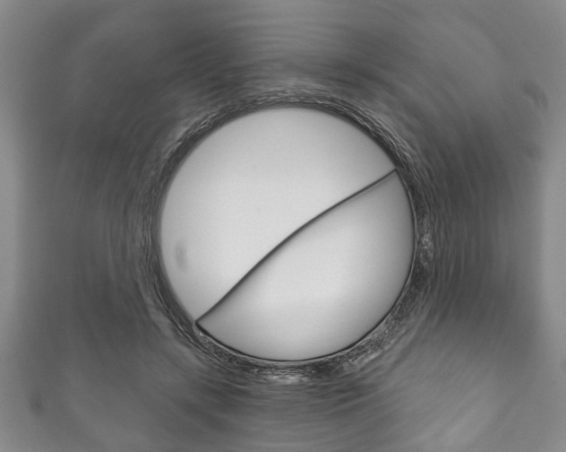 X0000111790547200907230951