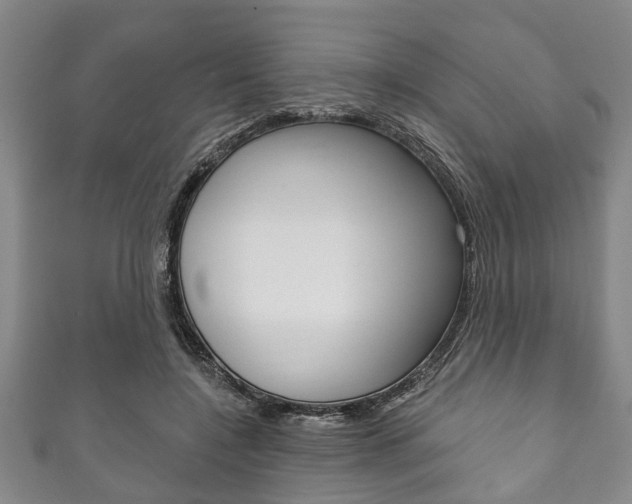 X0000111790548200907230951