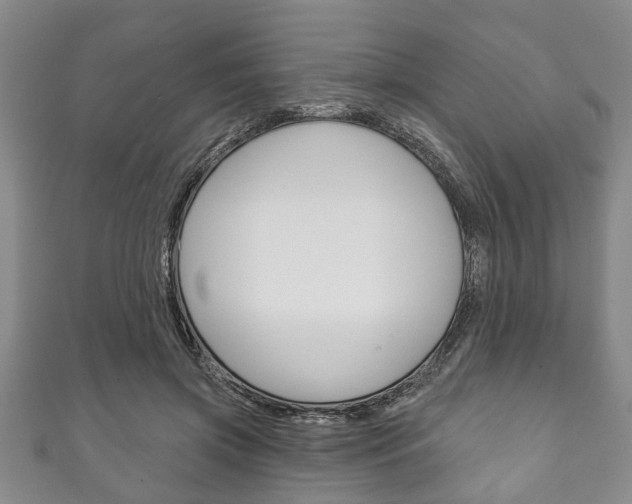 X0000111790549200907230951