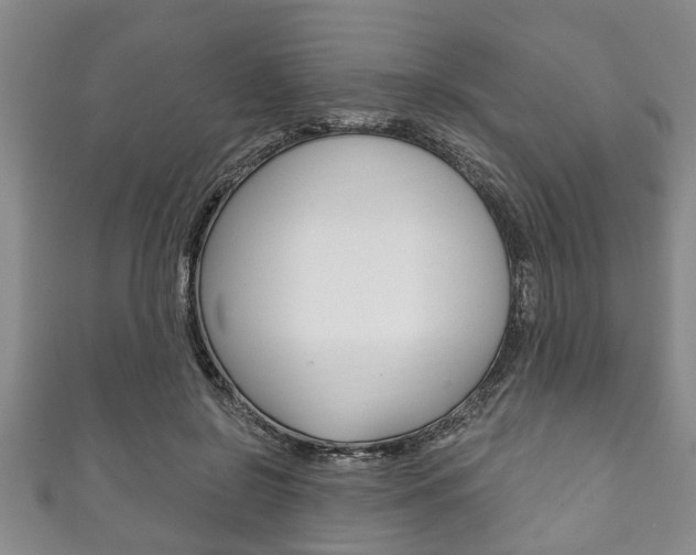 X0000111790550200907230951