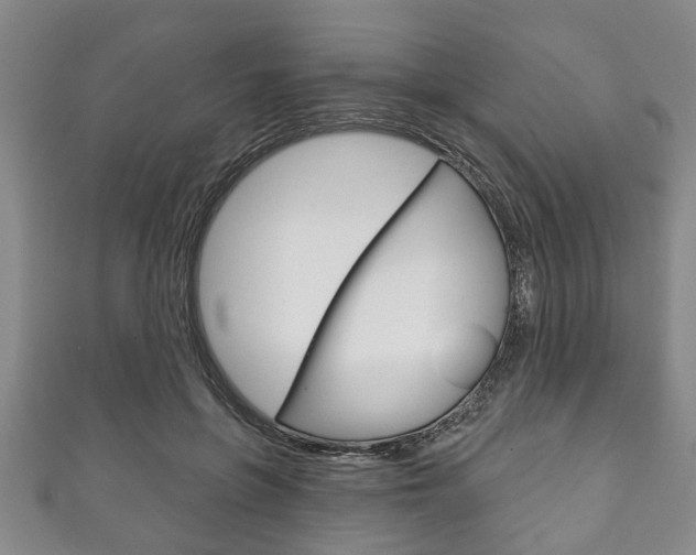 X0000111790551200907230951