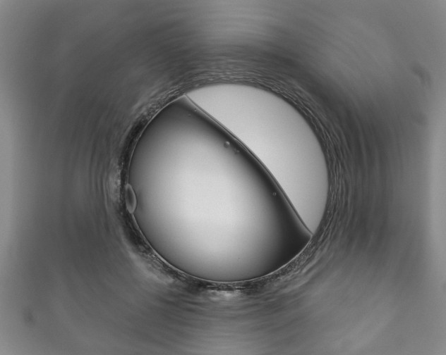 X0000111790552200907230951