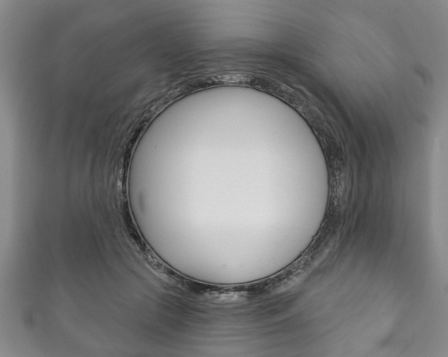 X0000111790553200907230951