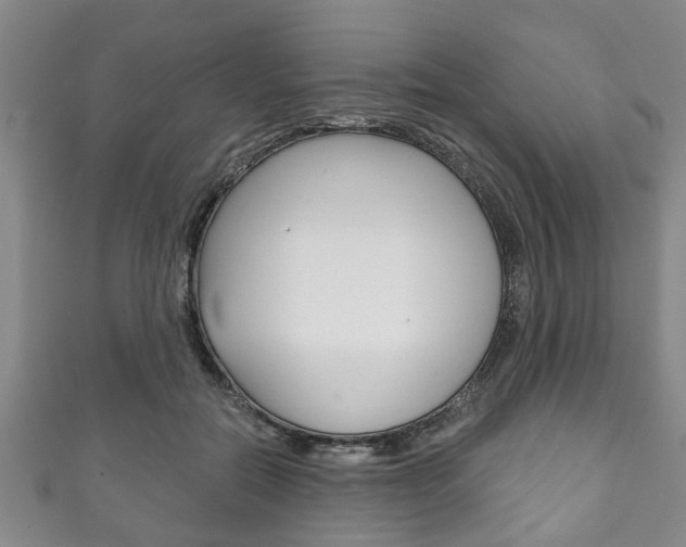 X0000111790554200907230951