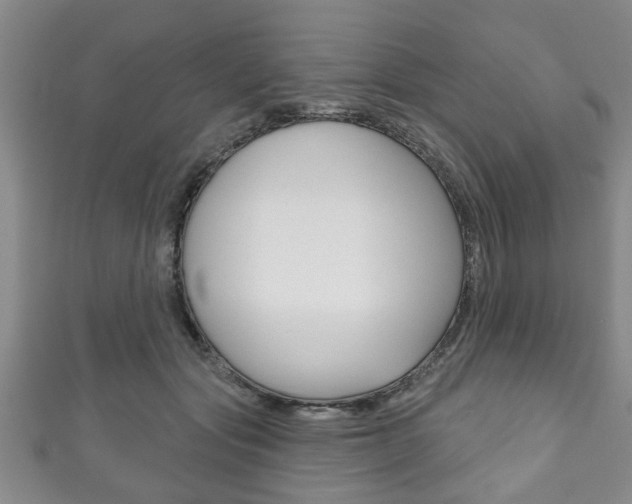 X0000111790557200907230951