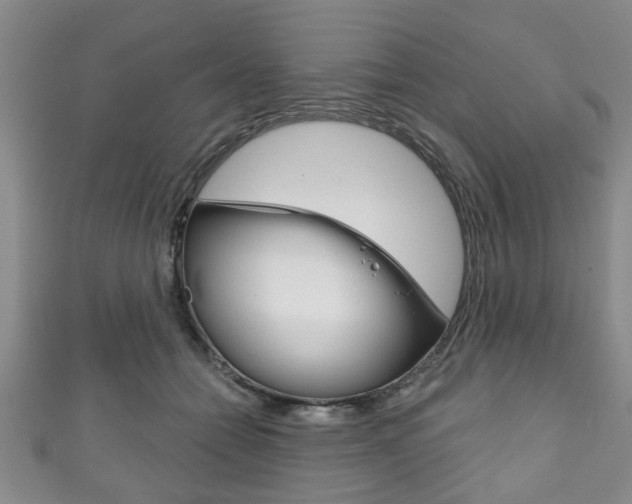 X0000111790558200907230951