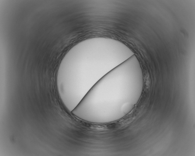 X0000111790559200907230951
