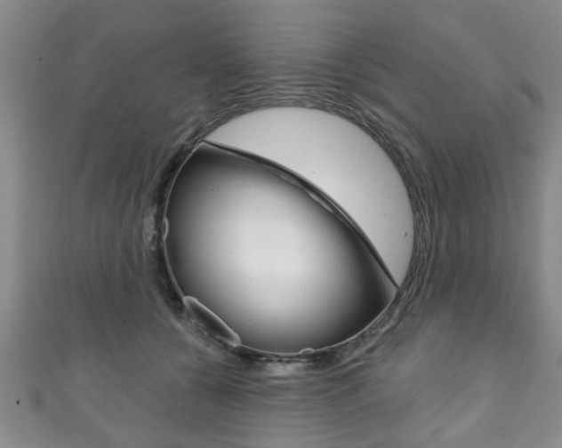 X0000111790560200907230951