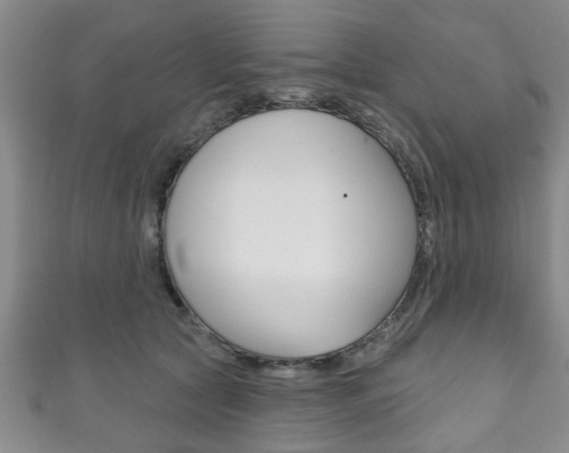 X0000111790561200907230951