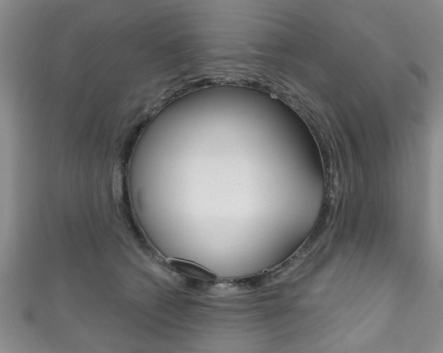 X0000111790562200907230951