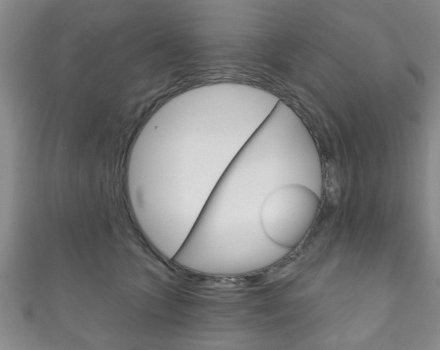 X0000111790563200907230951