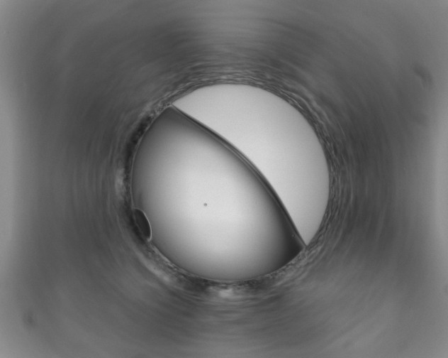 X0000111790564200907230951