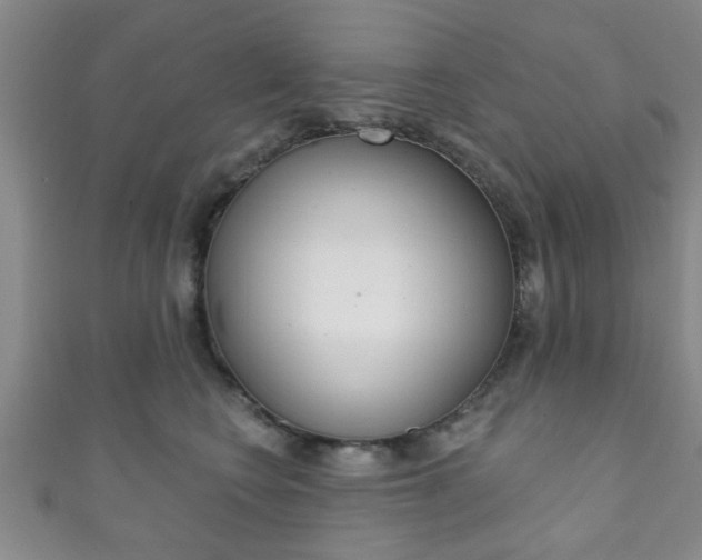 X0000111790566200907230951