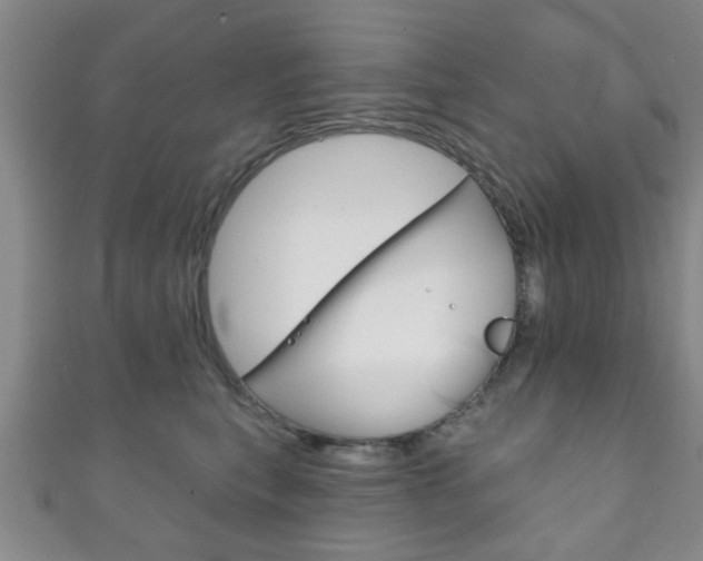 X0000111790567200907230951