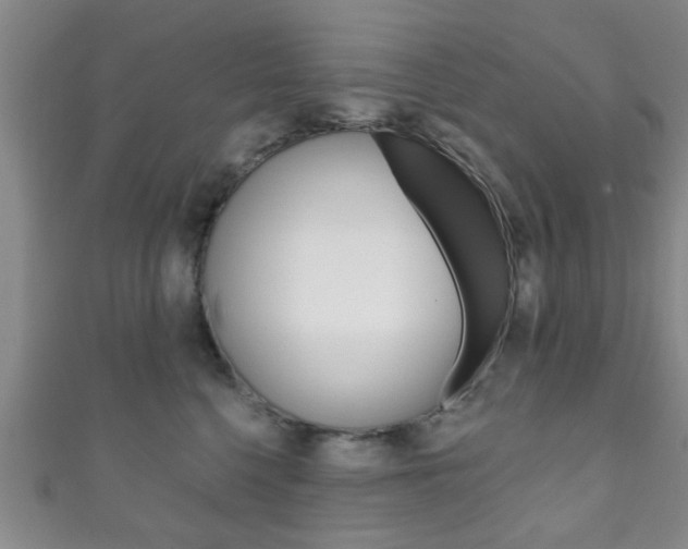 X0000111790568200907230951