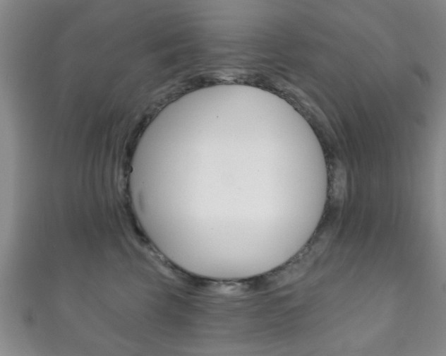 X0000111790569200907230951